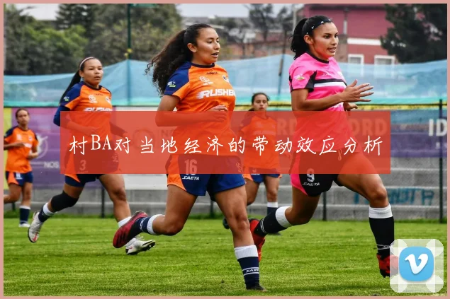 村BA对当地经济的带动效应分析